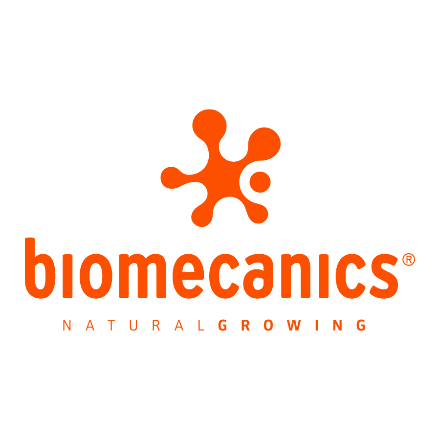Biomecanics para Niño