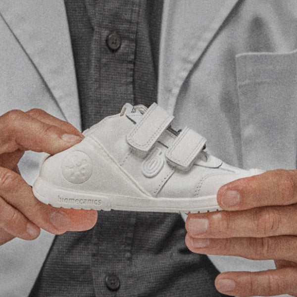 Estructura funcional